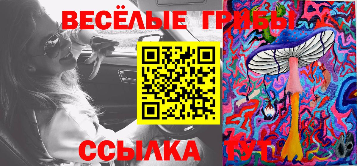 Псилоцибиновые грибы Cubensis  Вход с VPN  Благодарный 